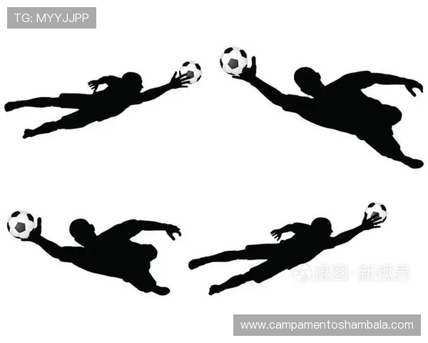 明星球员剪影：近期表现稳健，赛场影响力持续提升