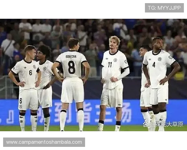 斯洛伐克队2026世界杯预选赛前景与潜力分析