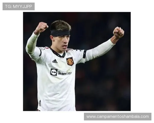 利桑德罗拦截王