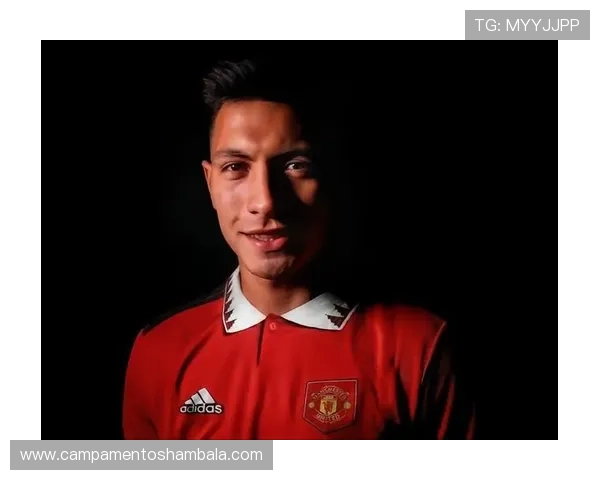 利桑德罗转会费记录