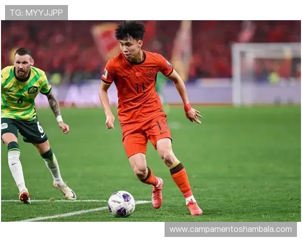 本赛季比赛进球排行：射手榜前列球员表现稳健