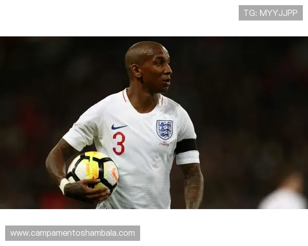 阿什利扬进球数据