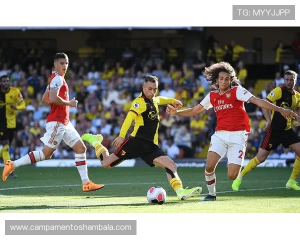 南安普顿攻防平衡