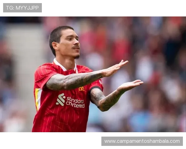 努涅斯高射门低效率争议解析