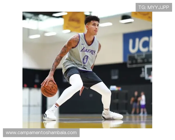 居莱尔技术特点与赛季表现能否兑现天赋 居莱尔技术特点与赛季表现能否兑现天赋