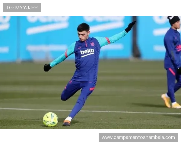 佩德里:伤病低谷后状态复苏解析 佩德里:伤病低谷后状态复苏解析