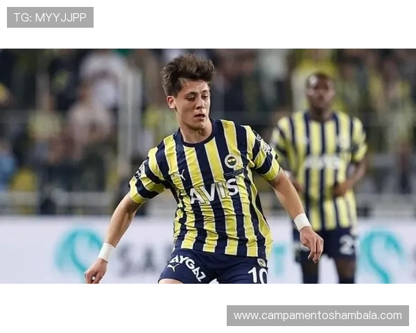 居莱尔的未来走势：高开低走风险如何体现？