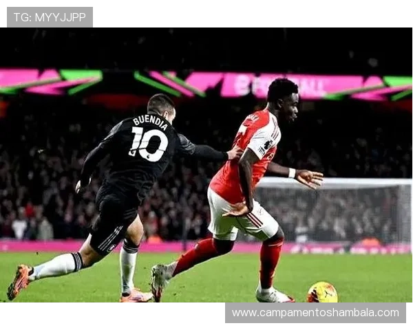 曼城防守稳定性出现波动,对争冠形势形成制约 曼城防守稳定性出现波动,对争冠形势形成制约