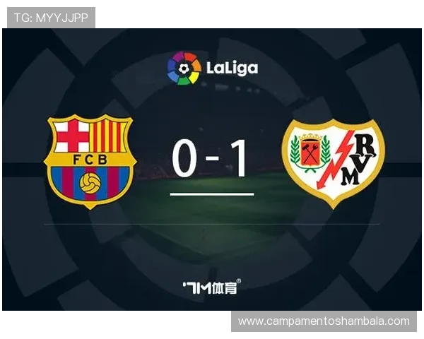 加维：西甲冠军赛季核心轮换解析