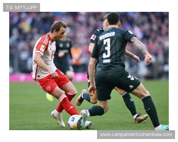 拜仁进攻战术押宝凯恩？体系简化问题正在暴露