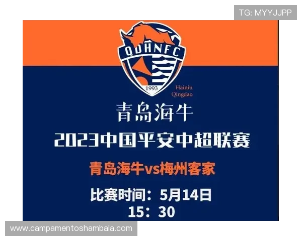 三秒规则国际差异解析：各联赛如何判罚与含义