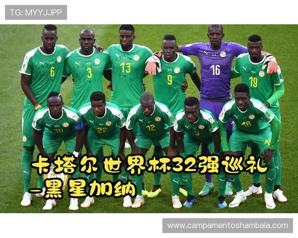 加纳2026世界杯阵容预测 黑马潜力股能否再现非洲之光 加纳2026世界杯阵容预测 黑马潜力股能否再现非洲之光