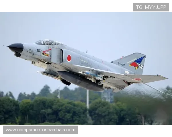 日本F组专题深度解读 日本F组专题深度解读