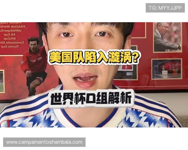 世界杯美国队D组对手身价对比